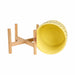 8-dotted-planter-w-wood-stand-yellow-7