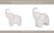8-elephant-with-rough-texture-white-14