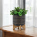 8-glazed-planter-w-stand-black-11