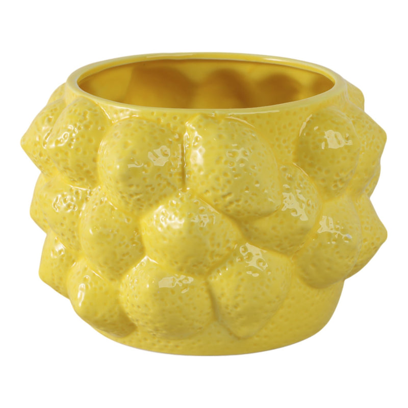 8-lemons-flower-pot-yellow-1