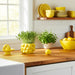 8-lemons-flower-pot-yellow-10