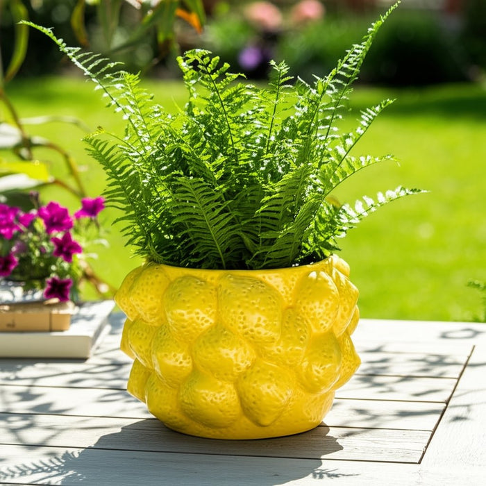 8-lemons-flower-pot-yellow-11