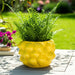 8-lemons-flower-pot-yellow-11