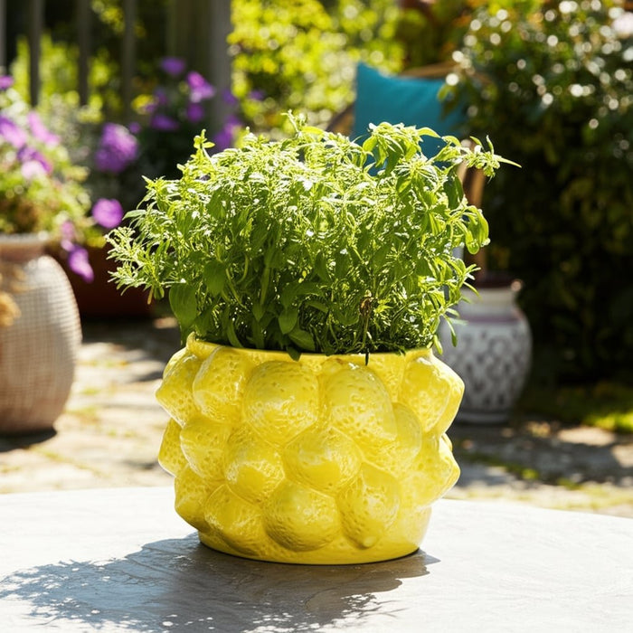 8-lemons-flower-pot-yellow-13