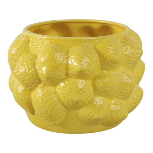 8-lemons-flower-pot-yellow-2