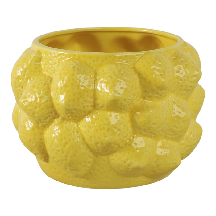 8-lemons-flower-pot-yellow-2