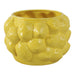 8-lemons-flower-pot-yellow-2
