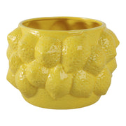 8-lemons-flower-pot-yellow-3