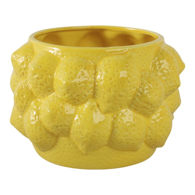 8-lemons-flower-pot-yellow-3