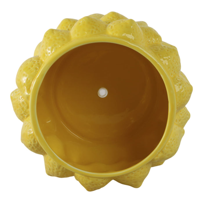 8-lemons-flower-pot-yellow-5