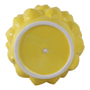 8-lemons-flower-pot-yellow-6