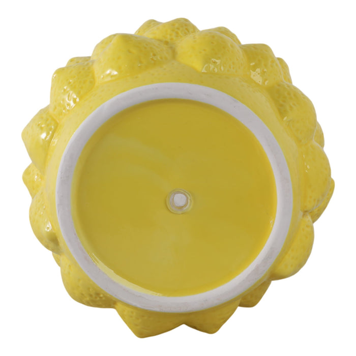 8-lemons-flower-pot-yellow-6