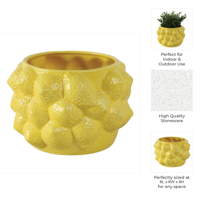 8-lemons-flower-pot-yellow-9