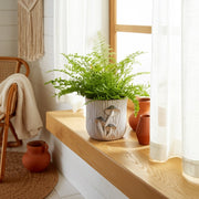 8-mushroom-applique-planter-grey-10