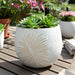 8-pampas-on-rounded-planter-ivory-11