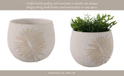 8-pampas-on-rounded-planter-ivory-15
