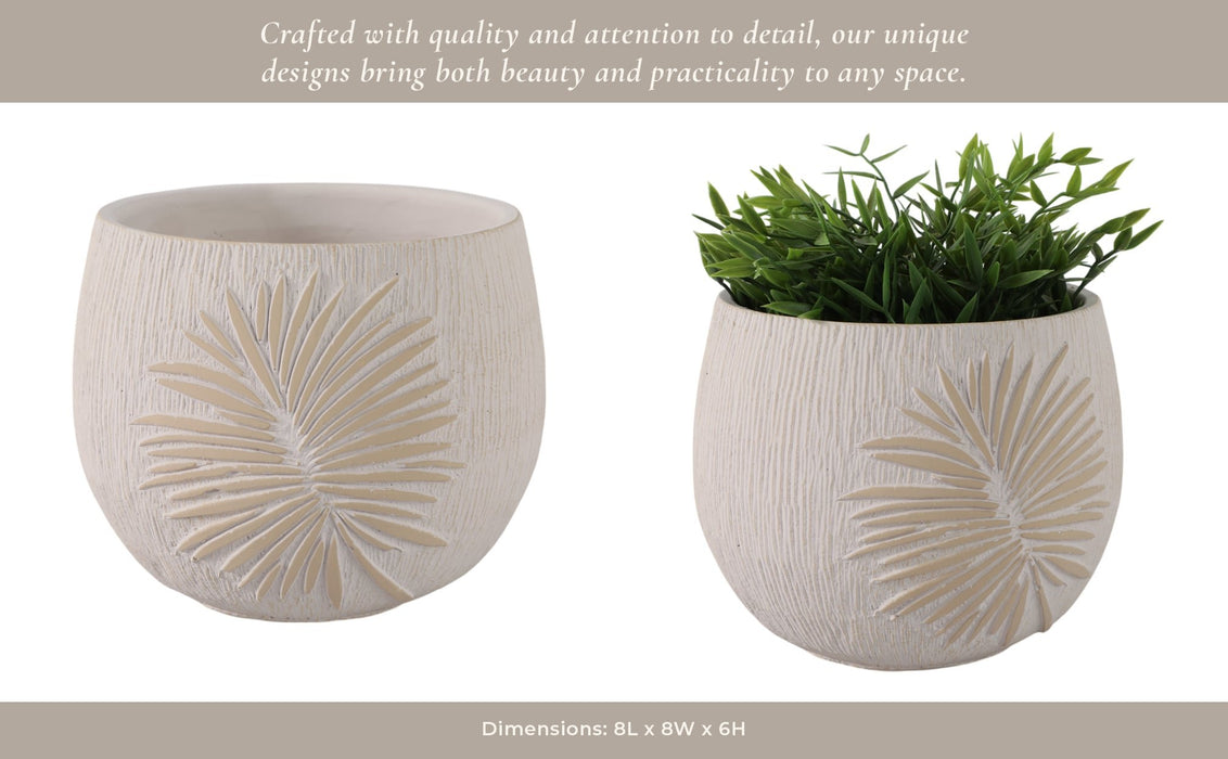 8-pampas-on-rounded-planter-ivory-15