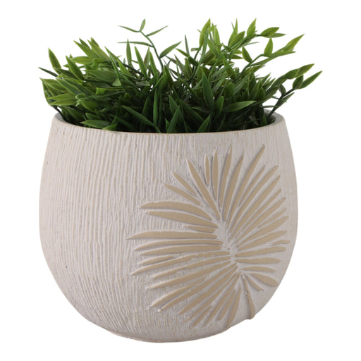 8-pampas-on-rounded-planter-ivory-2