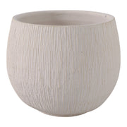 8-pampas-on-rounded-planter-ivory-4