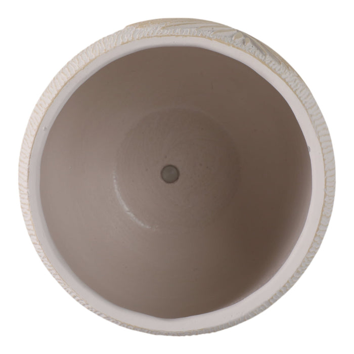 8-pampas-on-rounded-planter-ivory-6