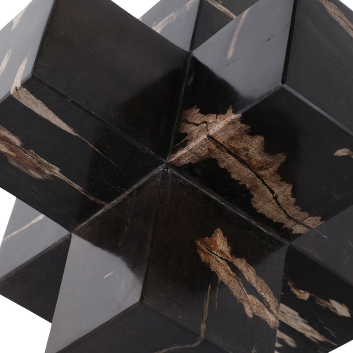 8-petrified-wood-jack-multi-6