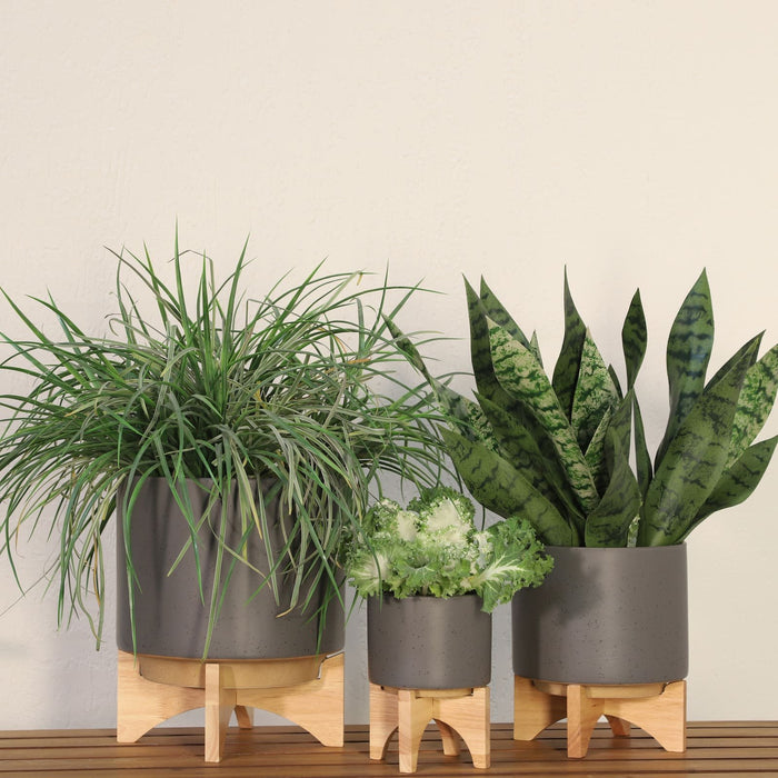 8-planter-w-wood-stand-matte-gray-11