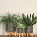8-planter-w-wood-stand-matte-gray-11