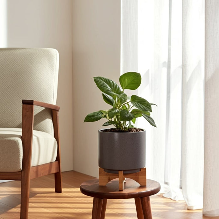 8-planter-w-wood-stand-matte-gray-12