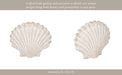 8-sea-scallop-shell-woven-pattern-white-12