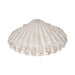 8-sea-scallop-shell-woven-pattern-white-5