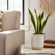 8-speckled-sand-upside-down-arch-ivory-12