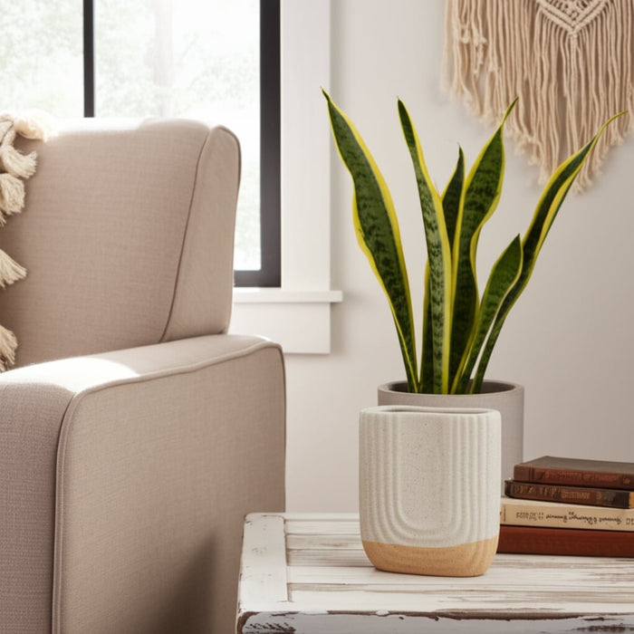 8-speckled-sand-upside-down-arch-ivory-12