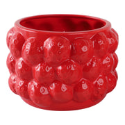 8-strawberries-flower-pot-red-1
