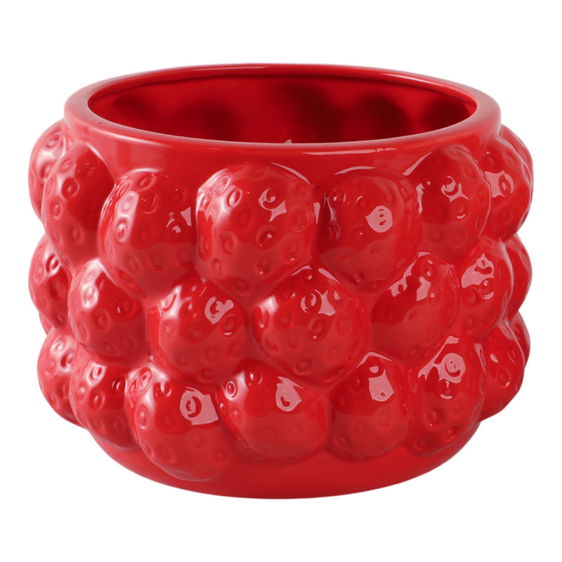 8-strawberries-flower-pot-red-1