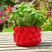 8-strawberries-flower-pot-red-10