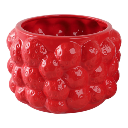 8-strawberries-flower-pot-red-2