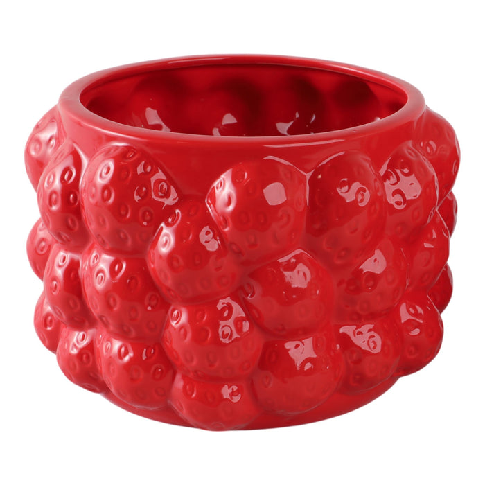 8-strawberries-flower-pot-red-2