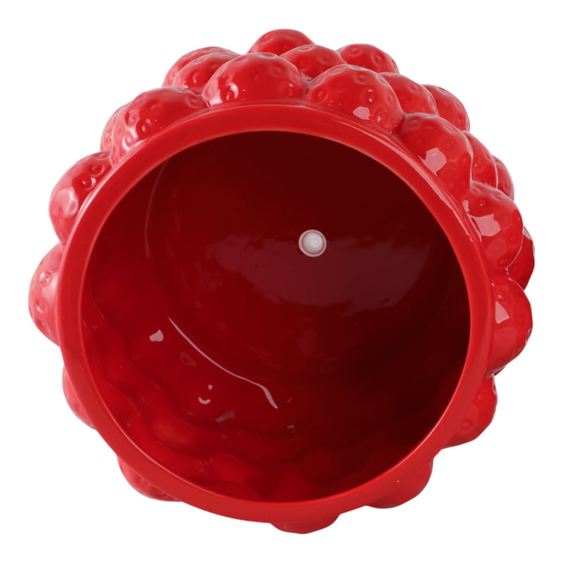 8-strawberries-flower-pot-red-4