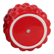 8-strawberries-flower-pot-red-5