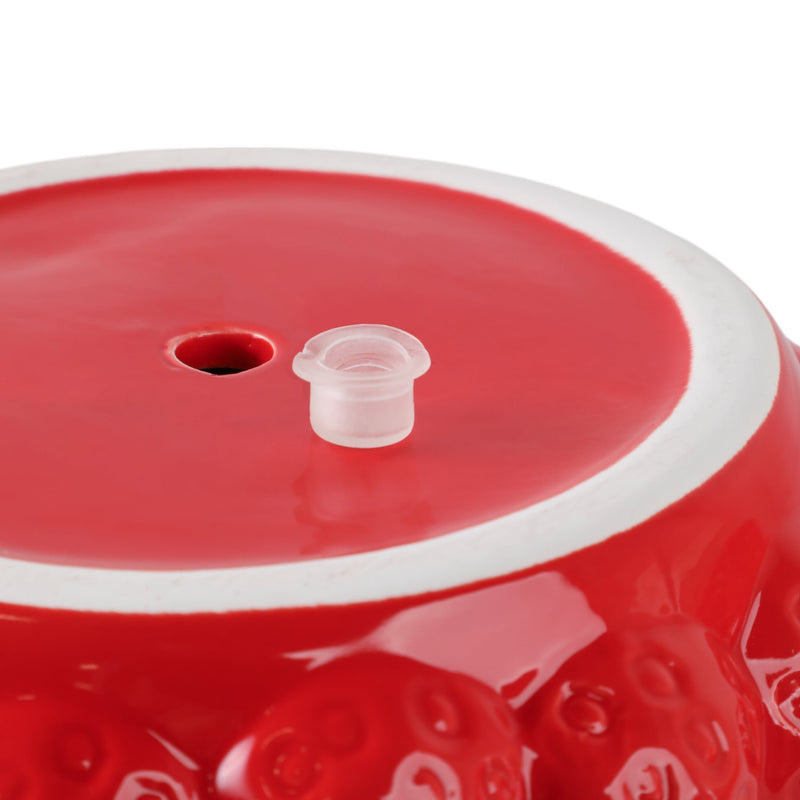 8-strawberries-flower-pot-red-6