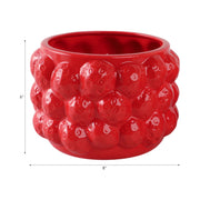 8-strawberries-flower-pot-red-7