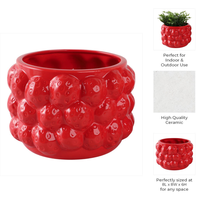 8-strawberries-flower-pot-red-8