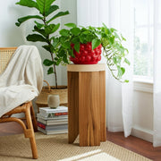 8-strawberries-flower-pot-red-9