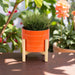8-striped-planter-w-wood-stand-orange-11