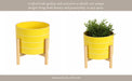 8-striped-planter-w-wood-stand-yellow-14