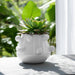 8-tapered-bubble-planter-white-9