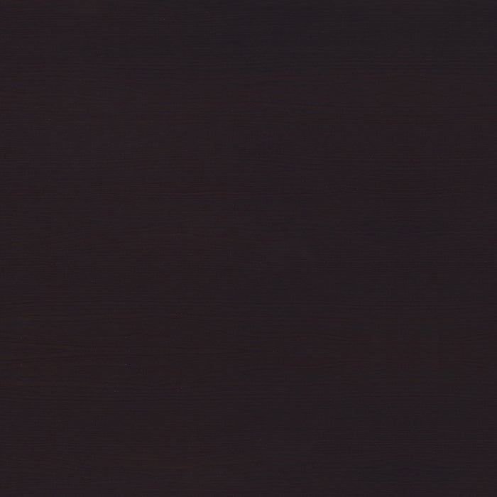 Tracy 2-drawer Computer Desk Cappuccino