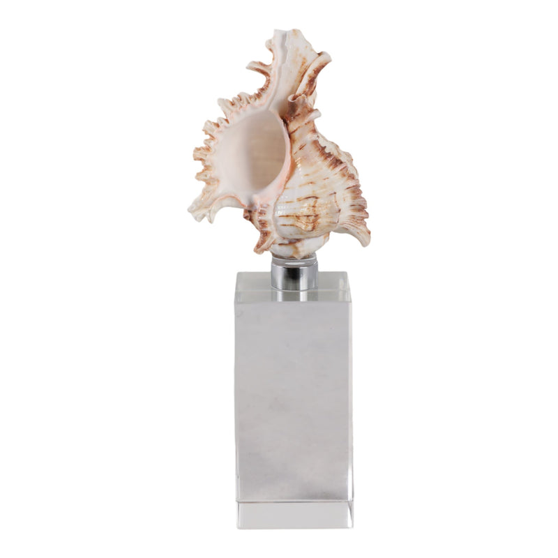 8x2-shell-on-crystal-base-ivory-clear-1