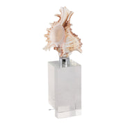 8x2-shell-on-crystal-base-ivory-clear-2