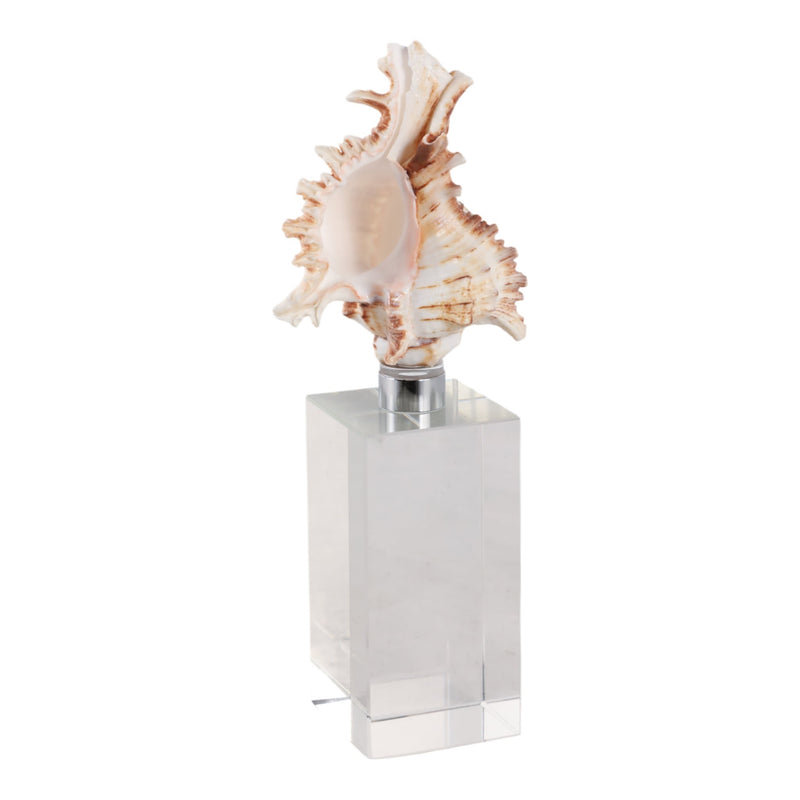 8x2-shell-on-crystal-base-ivory-clear-2